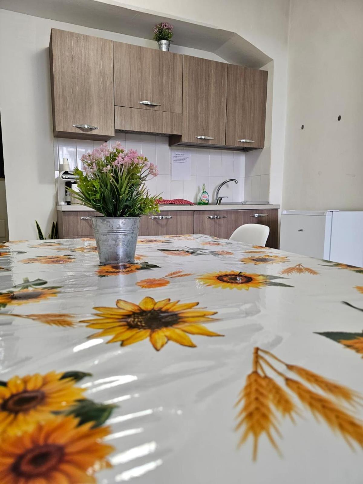 雷焦卡拉布里亚House Giusy公寓 外观 照片